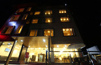 Royal Rosette Bhimtal