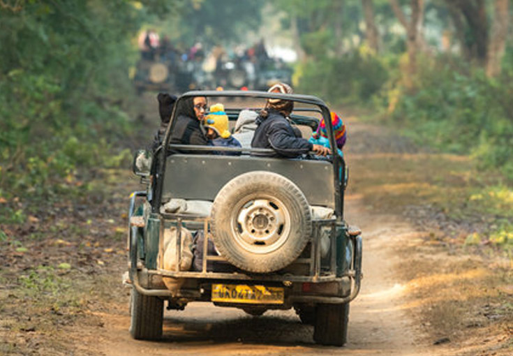 Dhikala Forest Tour with 4 Gypsy Safaris