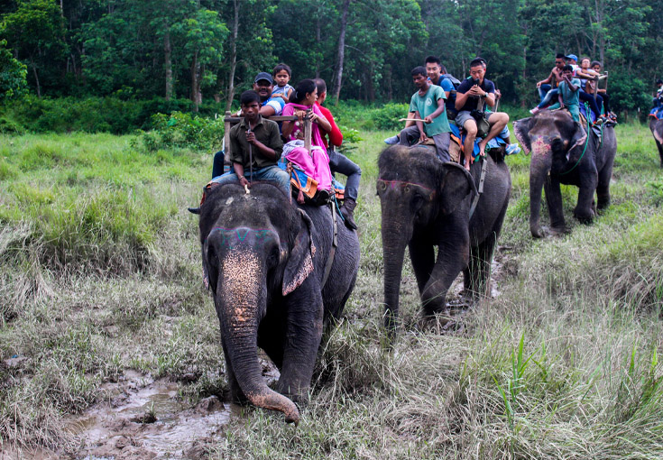 Corbett 1 Night Tour with Elephant Safari